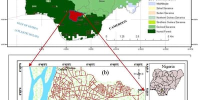 Карта Нігерыі з указаннем паясоў расліннасці 