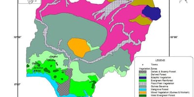 Карта Нігерыі з указаннем расліннасці